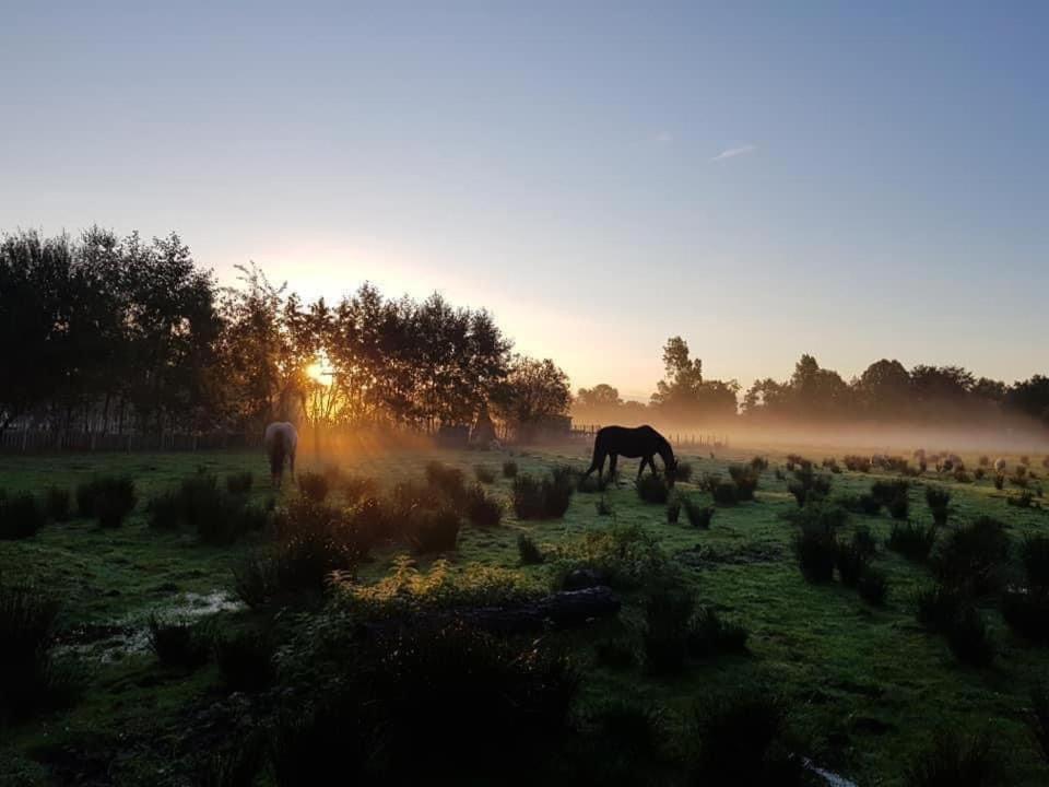 Pipowagens Bij De Koppenjan: Unique Farmstay with Pancake Restaurant Jubbega-Schurega Exterior photo